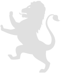 nice-design-lion-logo